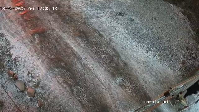 Поток с главных ворот